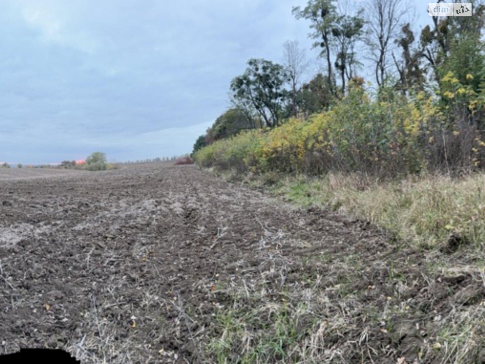 Земельный участок коммерческого назначения в Якушинцах, площадь 4.12 Га фото 1 Земельный участок коммерческого назначения в Якушинцах, площадь 4.12 Га фото 1