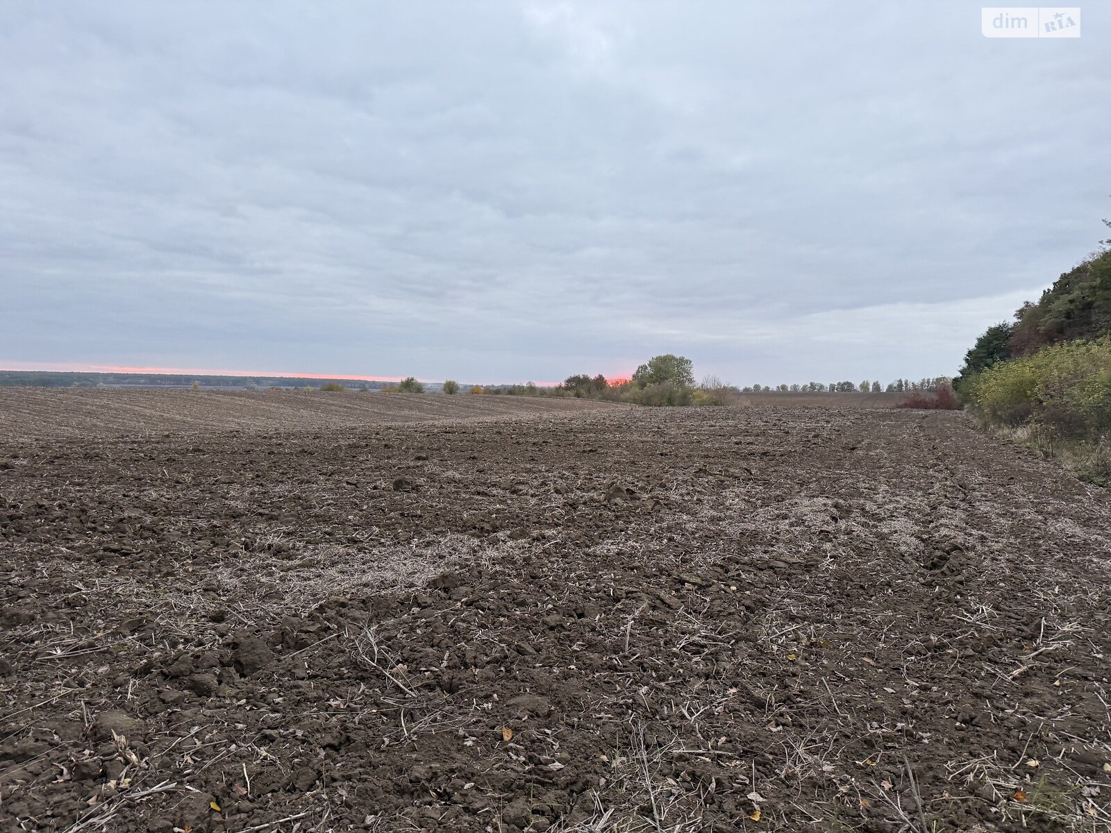 Земельный участок коммерческого назначения в Якушинцах, площадь 4.12 Га фото 1 Земельный участок коммерческого назначения в Якушинцах, площадь 4.12 Га фото 1