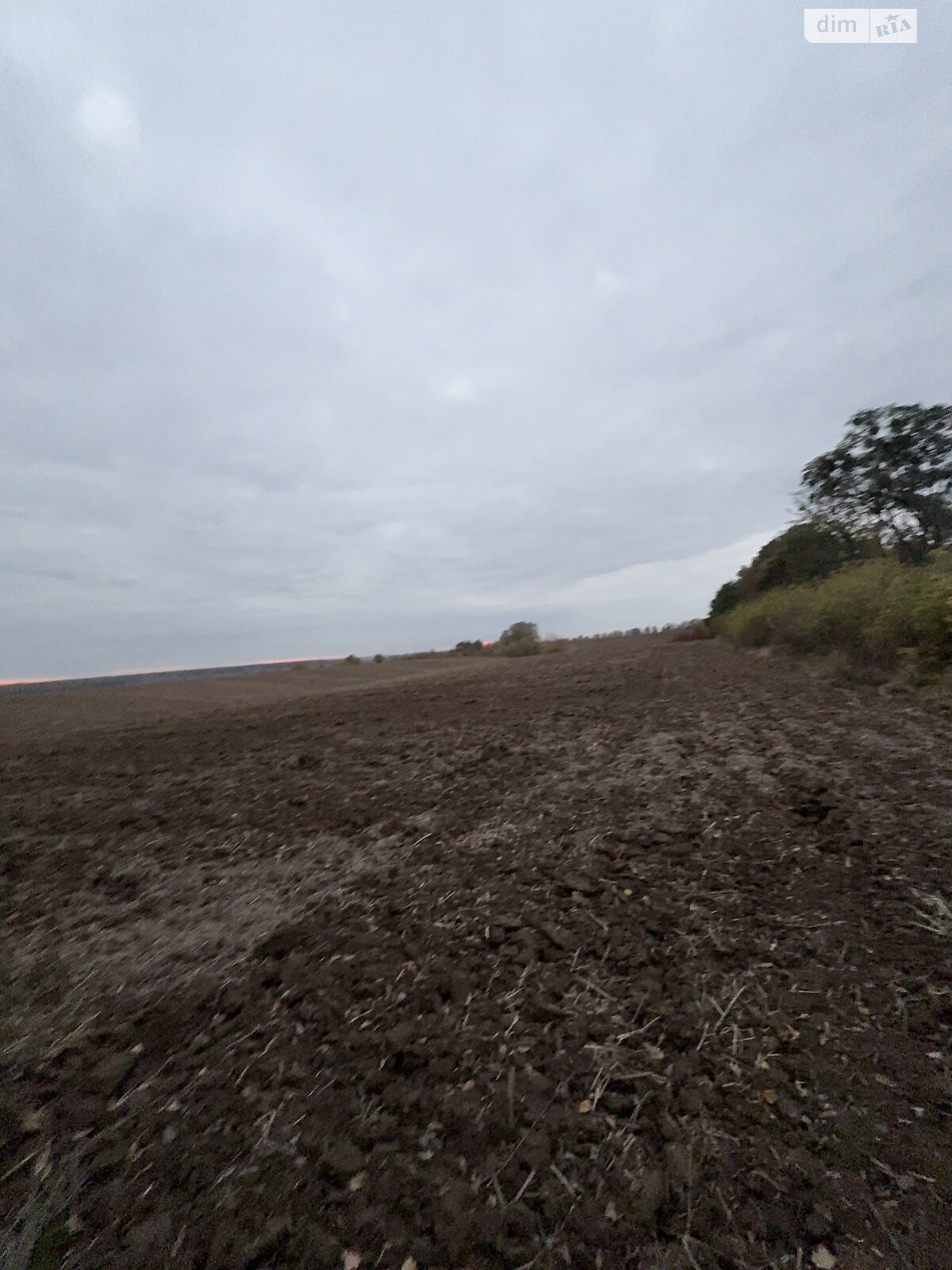 Земельный участок коммерческого назначения в Якушинцах, площадь 4.12 Га фото 1 Земельный участок коммерческого назначения в Якушинцах, площадь 4.12 Га фото 1