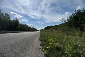 Земельна ділянка комерційного призначення в Якушинцях, площа 1 Га фото 2