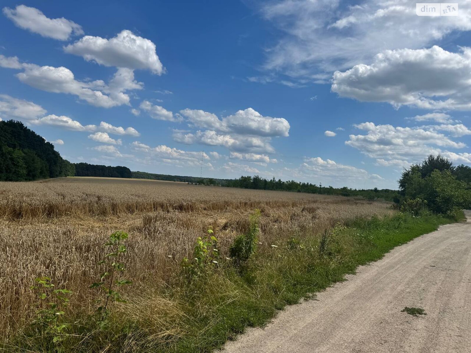 Земельна ділянка комерційного призначення в Зарванцях, площа 146 соток фото 1 Земельна ділянка комерційного призначення в Зарванцях, площа 146 соток фото 1