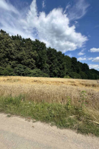 Земельна ділянка комерційного призначення в Зарванцях, площа 146 соток фото 2 Земельна ділянка комерційного призначення в Зарванцях, площа 146 соток фото 2