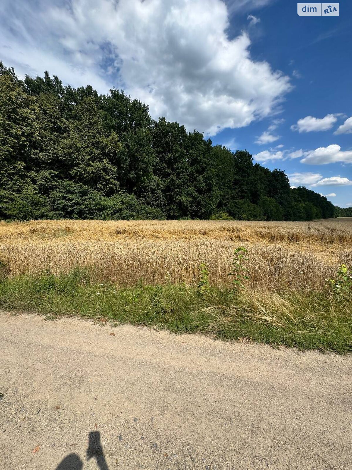 Земельна ділянка комерційного призначення в Зарванцях, площа 146 соток фото 1 Земельна ділянка комерційного призначення в Зарванцях, площа 146 соток фото 1