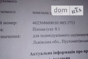 Земельна ділянка сільськогосподарського призначення в Львові, площа 40 соток фото 2