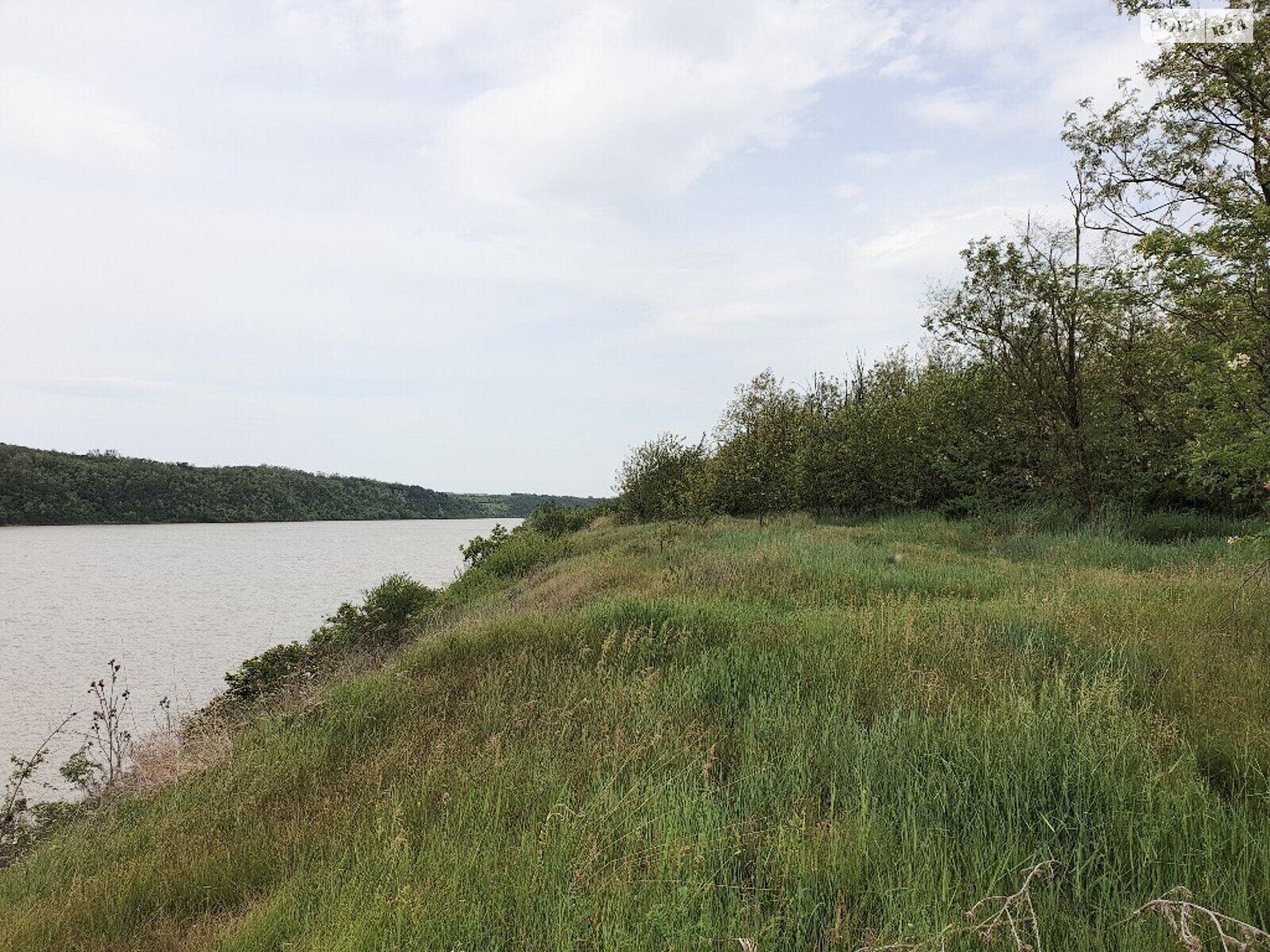 Земельна ділянка комерційного призначення в Гринчуці, площа 3.1 Га фото 1