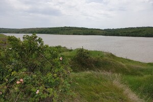 Земельна ділянка комерційного призначення в Гринчуці, площа 3.1 Га фото 2