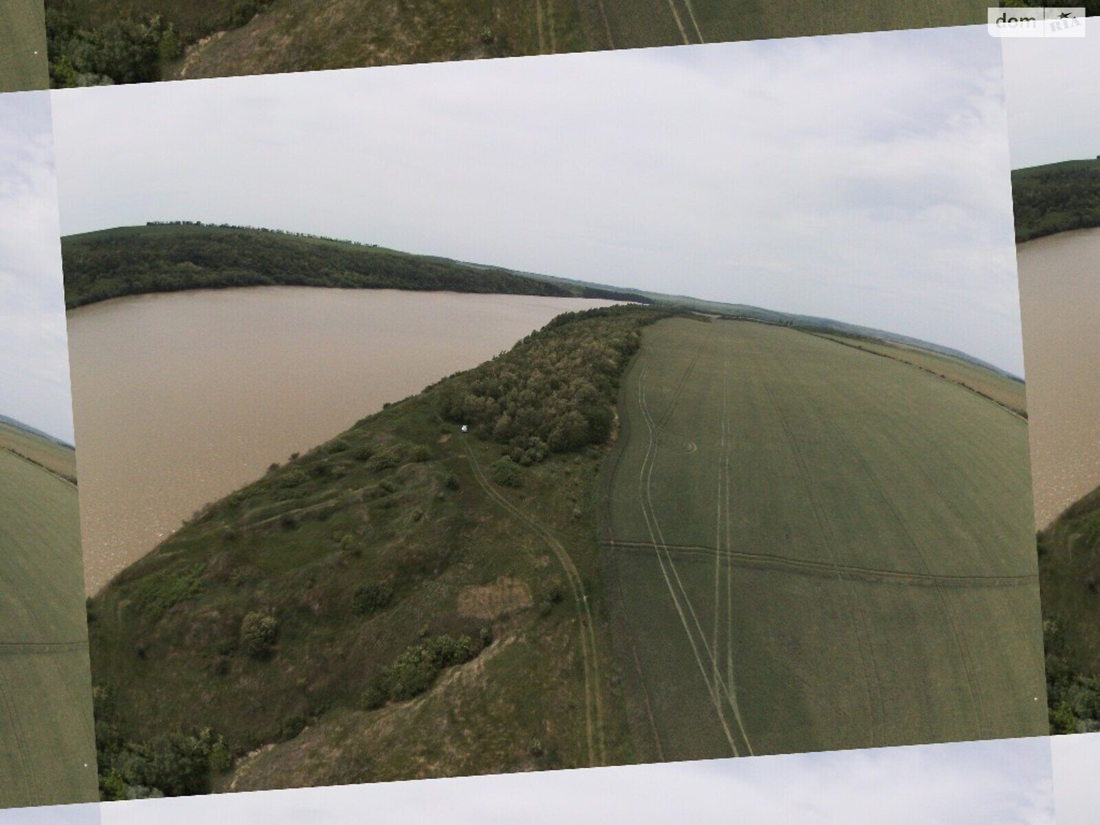 Земельна ділянка комерційного призначення в Гринчуці, площа 3.1 Га фото 1