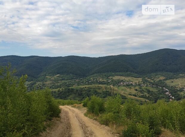 Земля рекреационного назначения в селе Вышка, площадь 11 соток фото 1 Земля рекреационного назначения в селе Вышка, площадь 11 соток фото 1