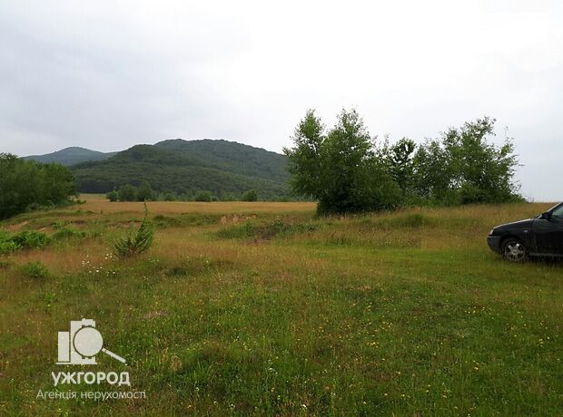 Земля коммерческого назначения в селе Турья-Пасека, площадь 6 соток фото 1 Земля коммерческого назначения в селе Турья-Пасека, площадь 6 соток фото 1
