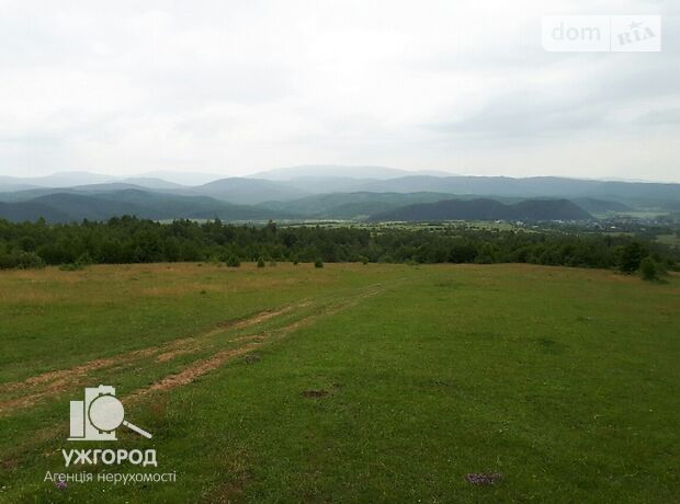 Земля коммерческого назначения в селе Турья-Пасека, площадь 6 соток фото 1 Земля коммерческого назначения в селе Турья-Пасека, площадь 6 соток фото 1