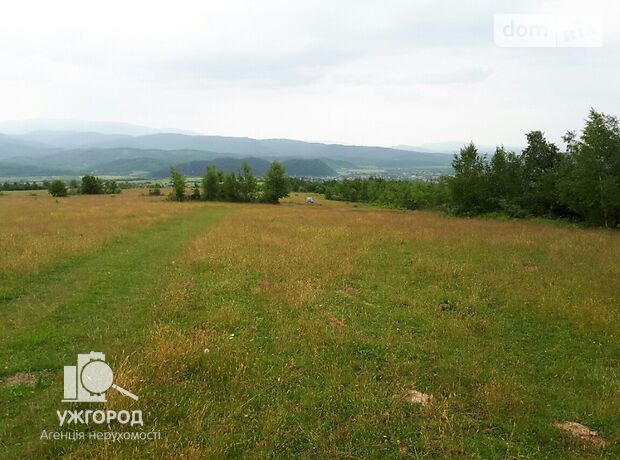 Земля коммерческого назначения в селе Турья-Пасека, площадь 6 соток фото 1 Земля коммерческого назначения в селе Турья-Пасека, площадь 6 соток фото 1