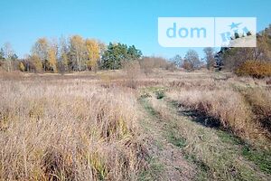 Земельна ділянка комерційного призначення в Верхній Сироватці, площа 165 соток фото 1