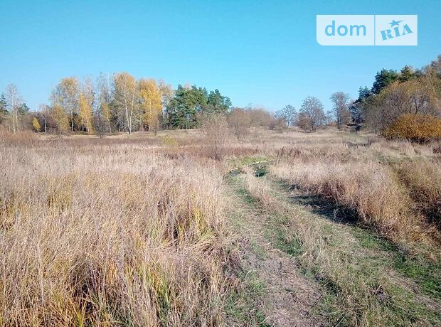 Земля рекреационного назначения в селе Верхняя Сироватка, площадь 165 соток фото 1 Земля рекреационного назначения в селе Верхняя Сироватка, площадь 165 соток фото 1