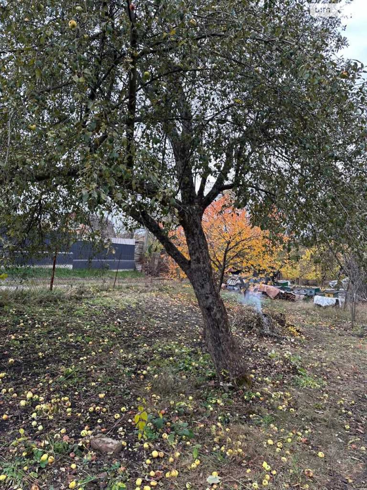 Земельный участок сельскохозяйственного назначения в Абазовке, площадь 4.44 сотки фото 1