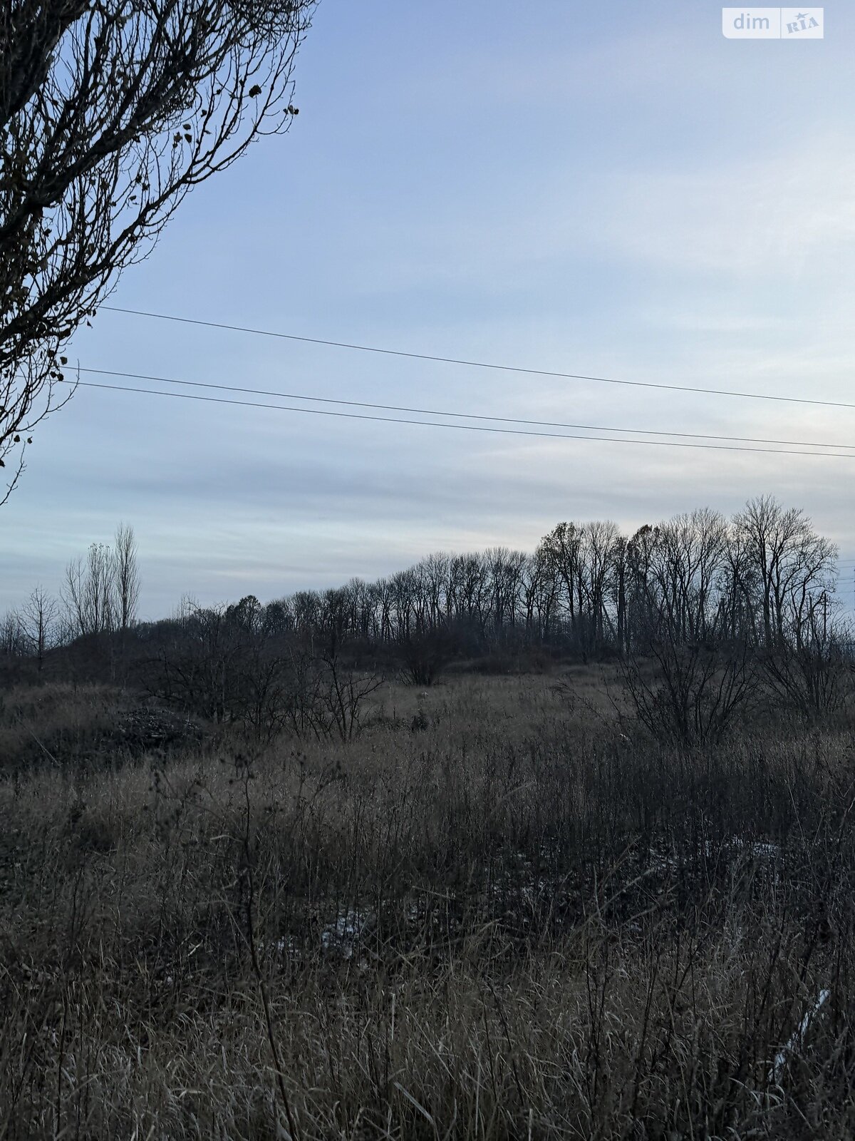 Земельна ділянка сільськогосподарського призначення в Агрономічному, площа 1.4 Га фото 1