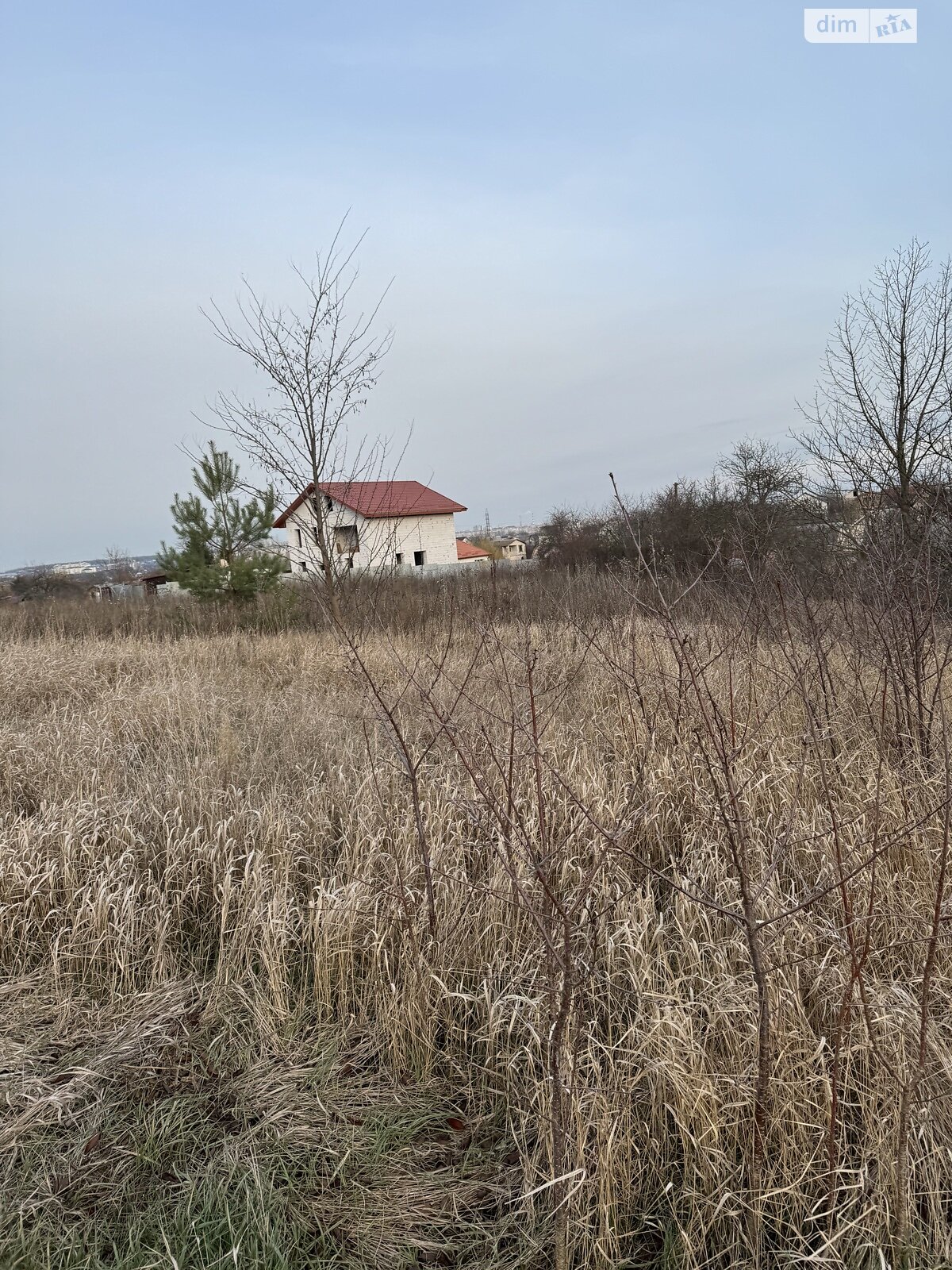 Земельна ділянка сільськогосподарського призначення в Агрономічному, площа 20 соток фото 1