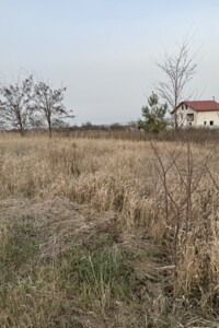 Земельный участок сельскохозяйственного назначения в Агрономичном, площадь 40 соток фото 2