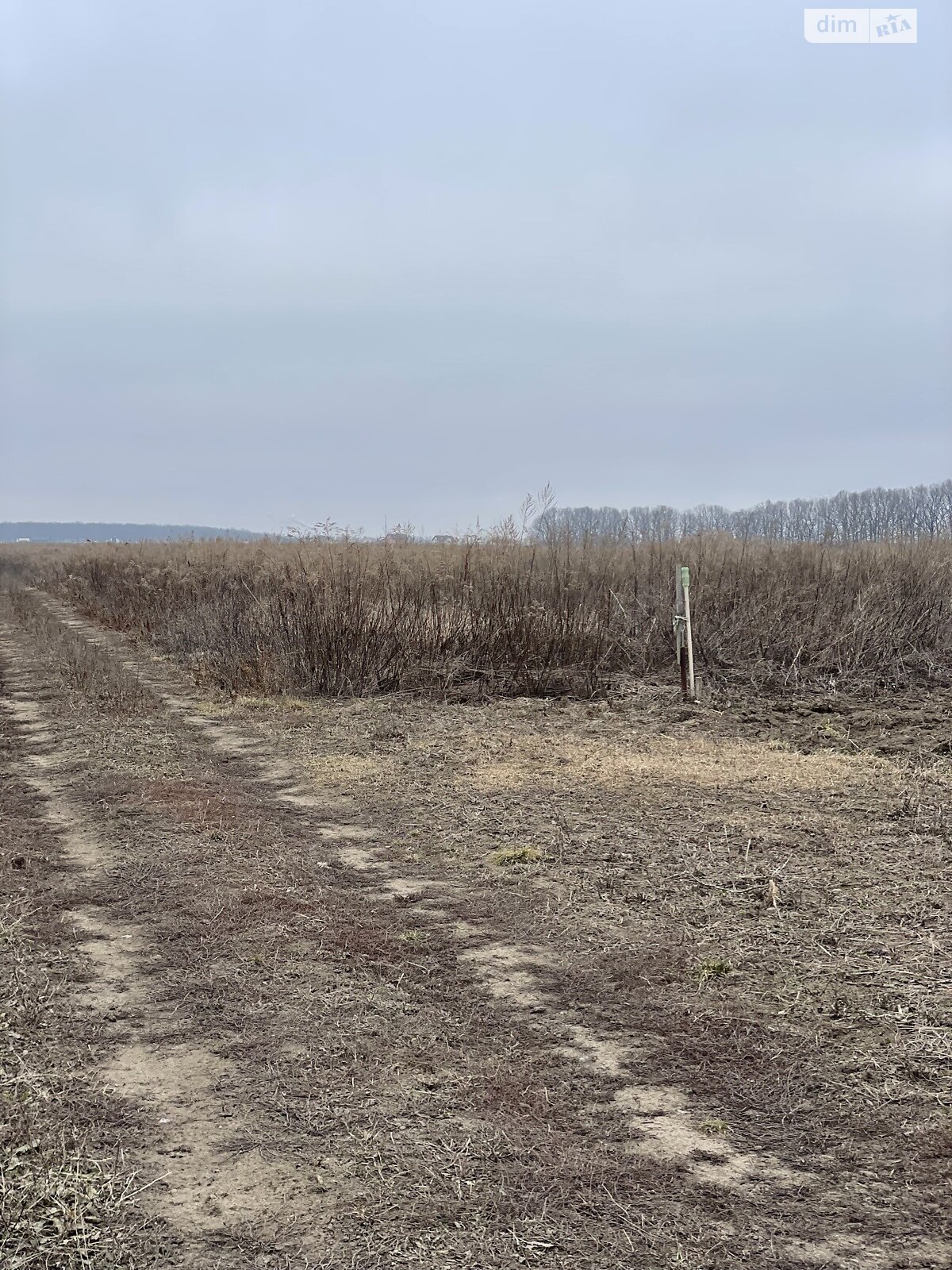 Земельна ділянка сільськогосподарського призначення в Агрономічному, площа 6 соток фото 1