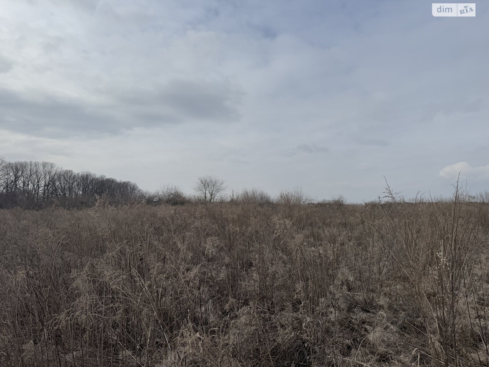 Земельна ділянка сільськогосподарського призначення в Агрономічному, площа 10 соток фото 1 Земельна ділянка сільськогосподарського призначення в Агрономічному, площа 10 соток фото 1