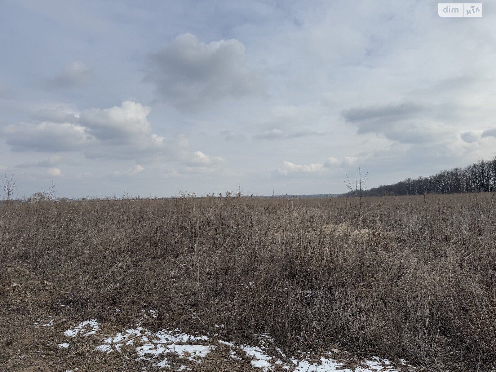 Земельна ділянка сільськогосподарського призначення в Агрономічному, площа 10 соток фото 1 Земельна ділянка сільськогосподарського призначення в Агрономічному, площа 10 соток фото 1