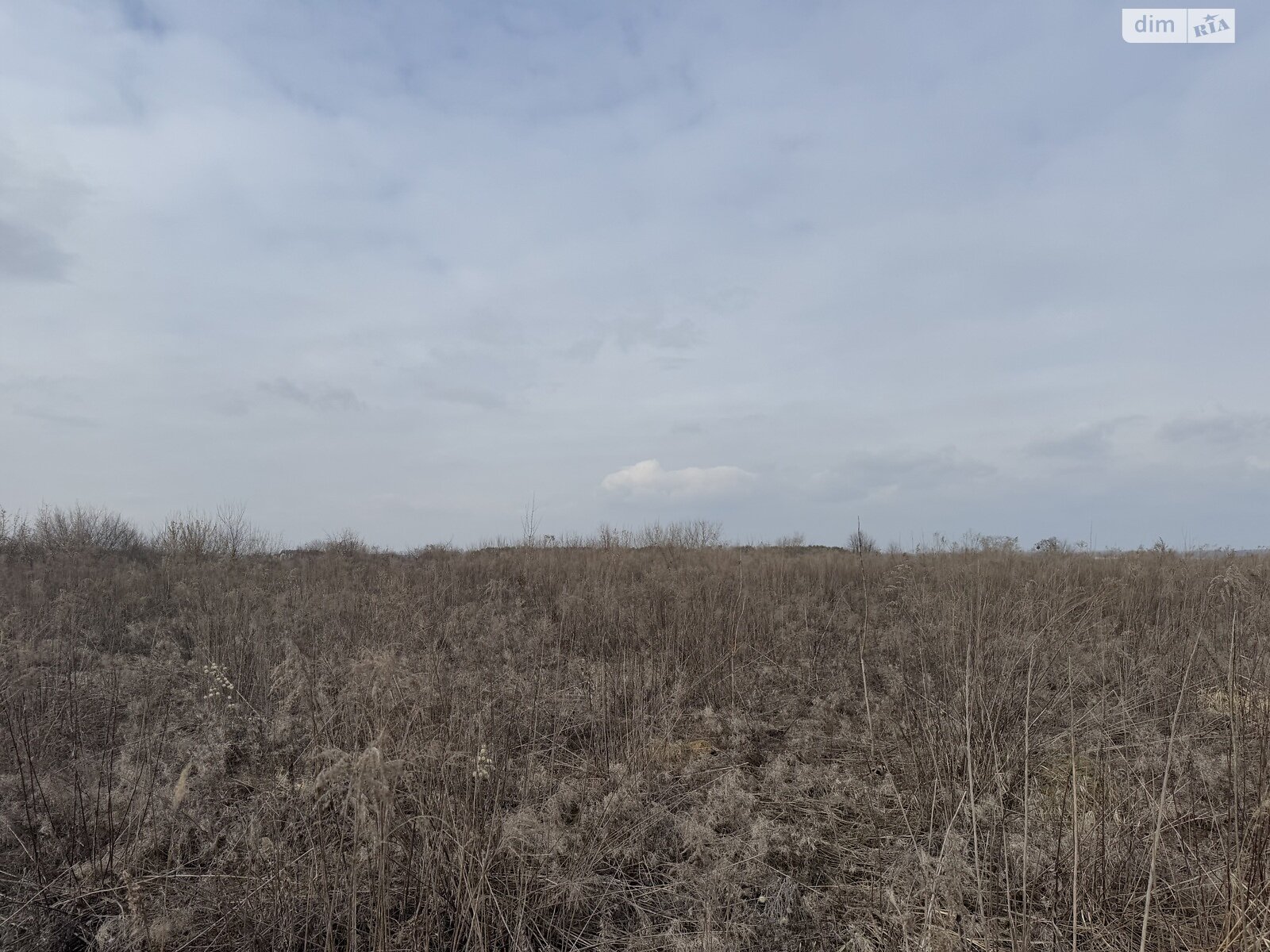 Земельна ділянка сільськогосподарського призначення в Агрономічному, площа 10 соток фото 1 Земельна ділянка сільськогосподарського призначення в Агрономічному, площа 10 соток фото 1
