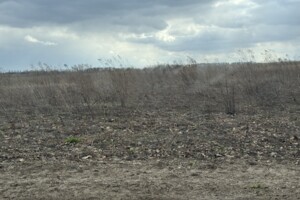 Земельна ділянка сільськогосподарського призначення в Агрономічному, площа 6 соток фото 2