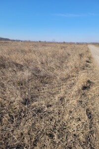 Земельна ділянка сільськогосподарського призначення в Агрономічному, площа 5.85 сотки фото 2