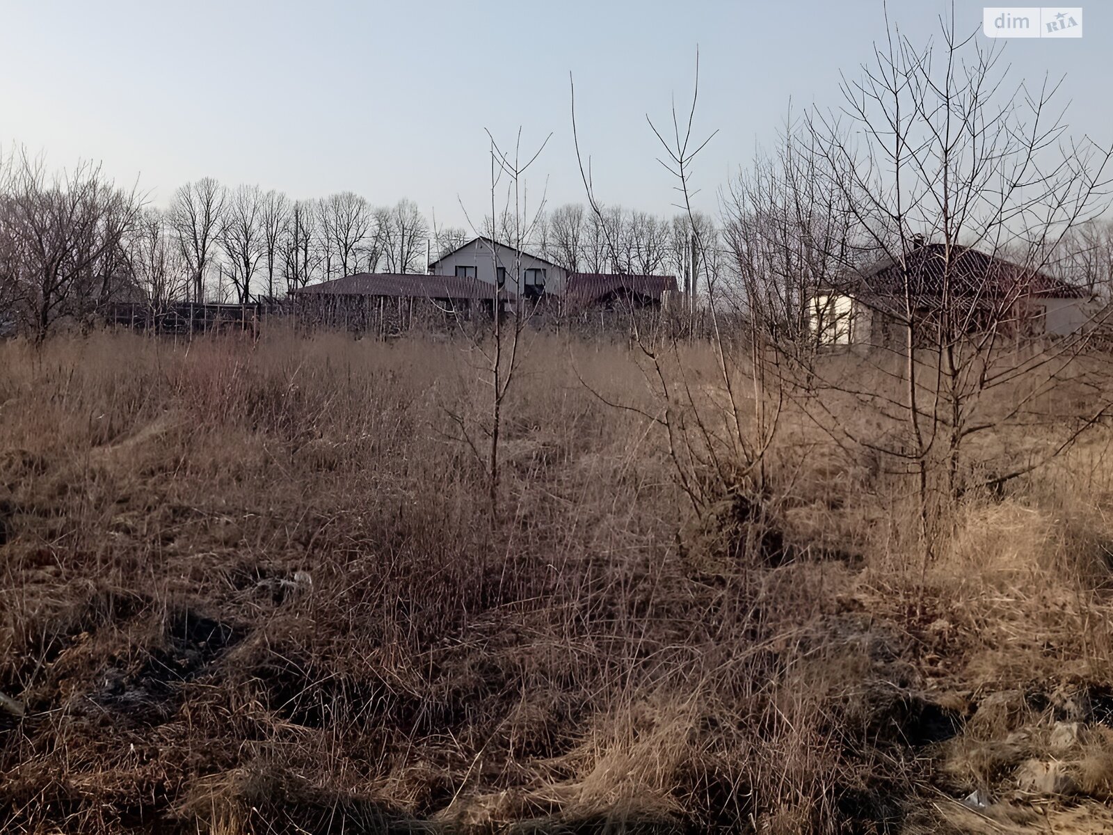 Земельный участок сельскохозяйственного назначения в Агрономичном, площадь 9 соток фото 1 Земельный участок сельскохозяйственного назначения в Агрономичном, площадь 9 соток фото 1