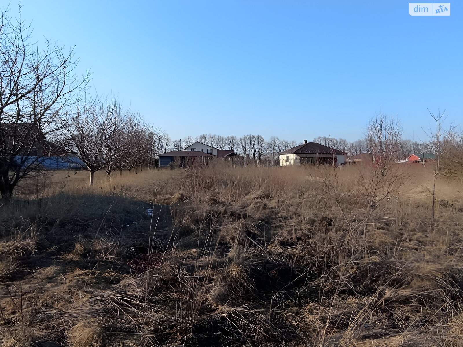Земельный участок сельскохозяйственного назначения в Агрономичном, площадь 9 соток фото 1 Земельный участок сельскохозяйственного назначения в Агрономичном, площадь 9 соток фото 1
