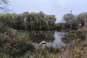 Земельна ділянка сільськогосподарського призначення в Агрономічному, площа 6 соток фото 2 Земельна ділянка сільськогосподарського призначення в Агрономічному, площа 6 соток фото 2