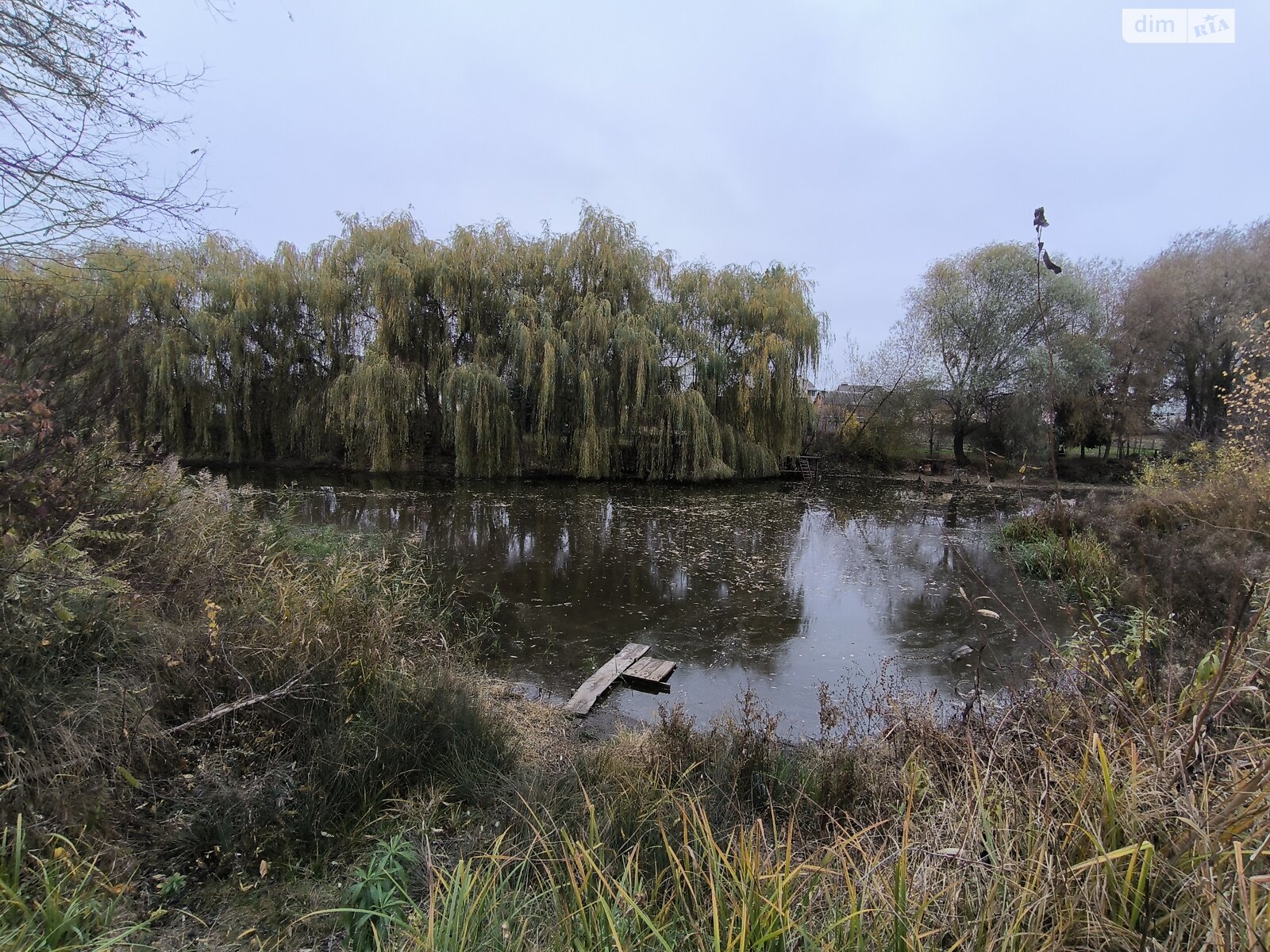 Земельна ділянка сільськогосподарського призначення в Агрономічному, площа 6 соток фото 1 Земельна ділянка сільськогосподарського призначення в Агрономічному, площа 6 соток фото 1