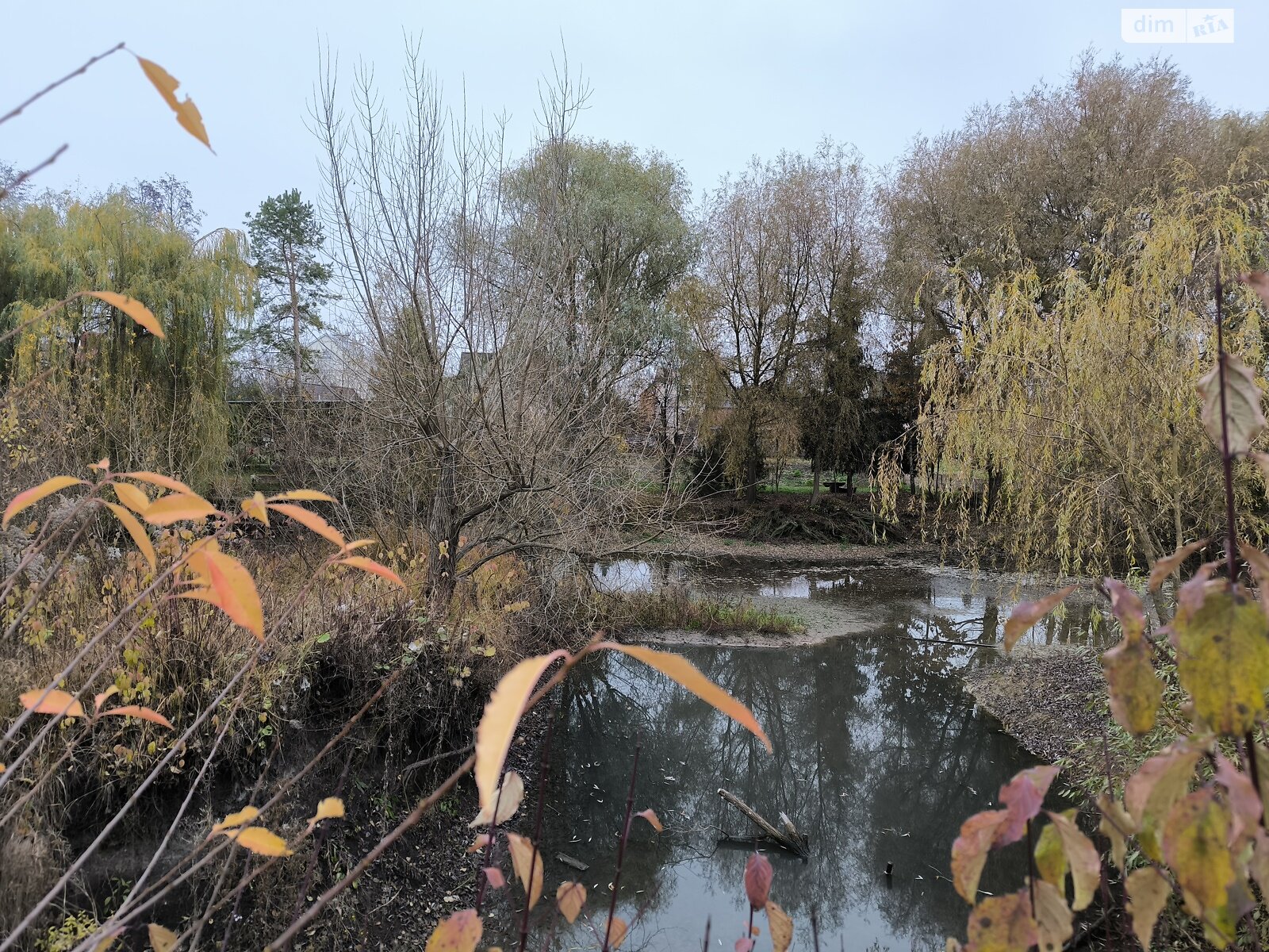 Земельна ділянка сільськогосподарського призначення в Агрономічному, площа 6 соток фото 1 Земельна ділянка сільськогосподарського призначення в Агрономічному, площа 6 соток фото 1