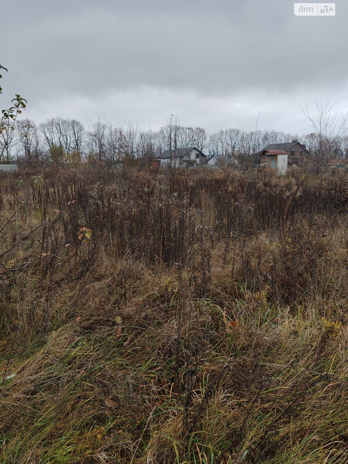 Земельный участок сельскохозяйственного назначения в Агрономичном, площадь 9 соток фото 1 Земельный участок сельскохозяйственного назначения в Агрономичном, площадь 9 соток фото 1
