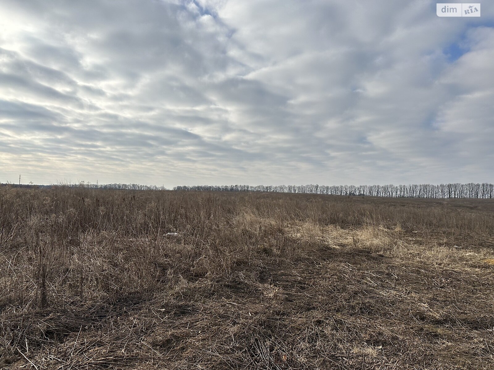 Земельна ділянка сільськогосподарського призначення в Агрономічному, площа 5 соток фото 1 Земельна ділянка сільськогосподарського призначення в Агрономічному, площа 5 соток фото 1