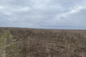 Земельный участок сельскохозяйственного назначения в Агрономичном, площадь 6 соток фото 2