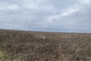 Земельна ділянка сільськогосподарського призначення в Агрономічному, площа 6 соток фото 2