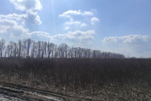 Земельна ділянка сільськогосподарського призначення в Агрономічному, площа 6 соток фото 2
