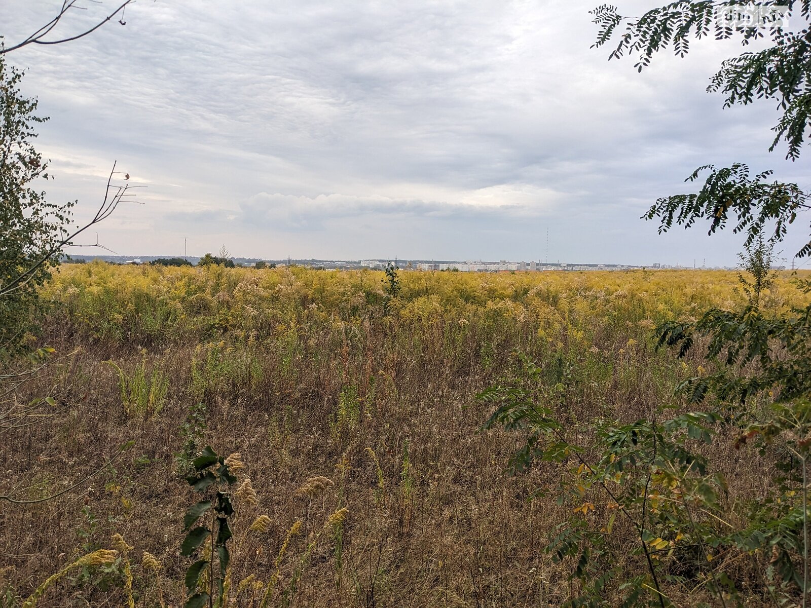 Земельна ділянка сільськогосподарського призначення в Агрономічному, площа 10 соток фото 1