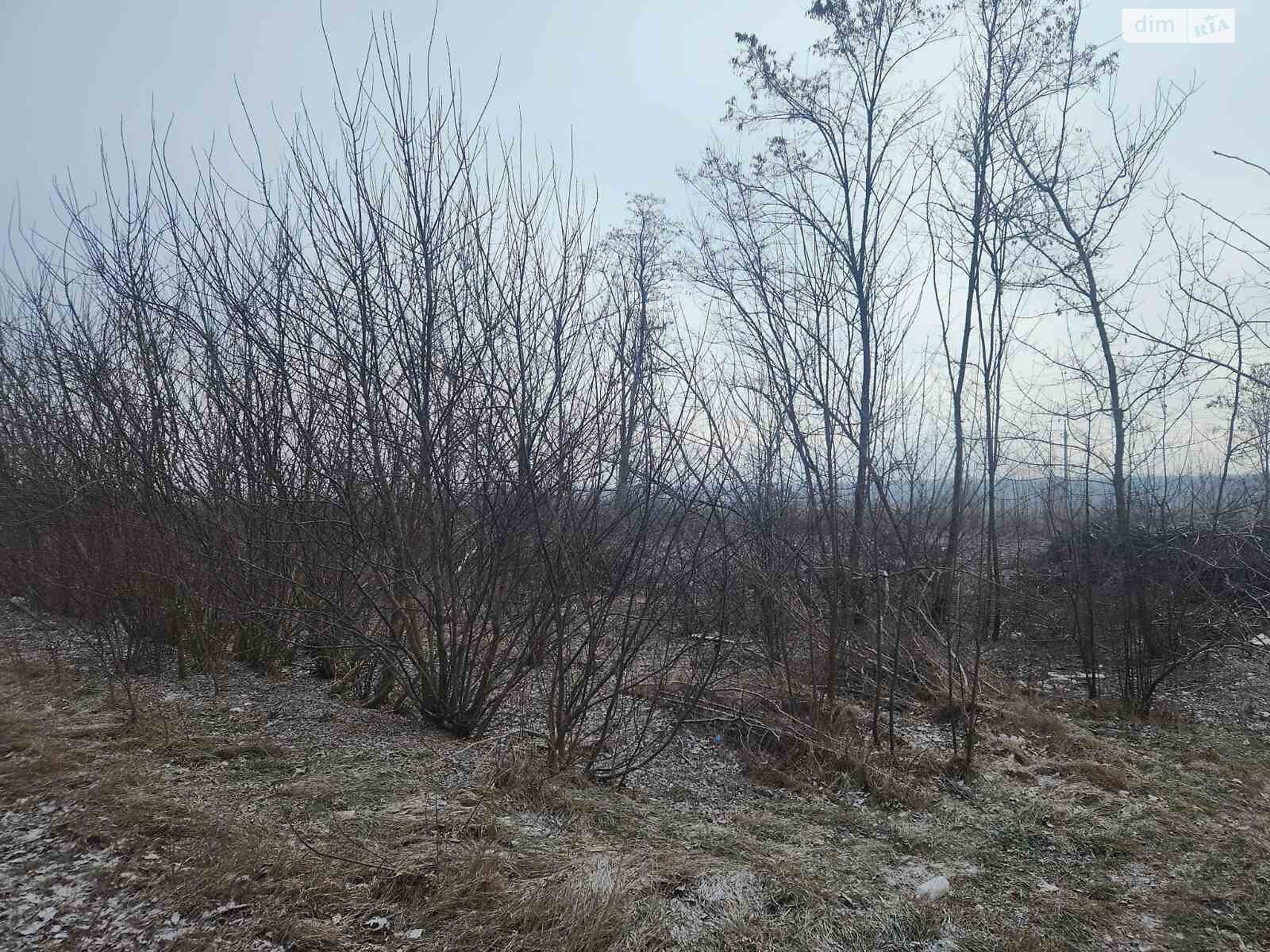 Земельна ділянка сільськогосподарського призначення в Агрономічному, площа 10 соток фото 1 Земельна ділянка сільськогосподарського призначення в Агрономічному, площа 10 соток фото 1