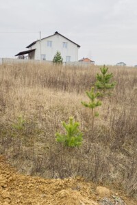 Земельна ділянка сільськогосподарського призначення в Агрономічному, площа 6 соток фото 2