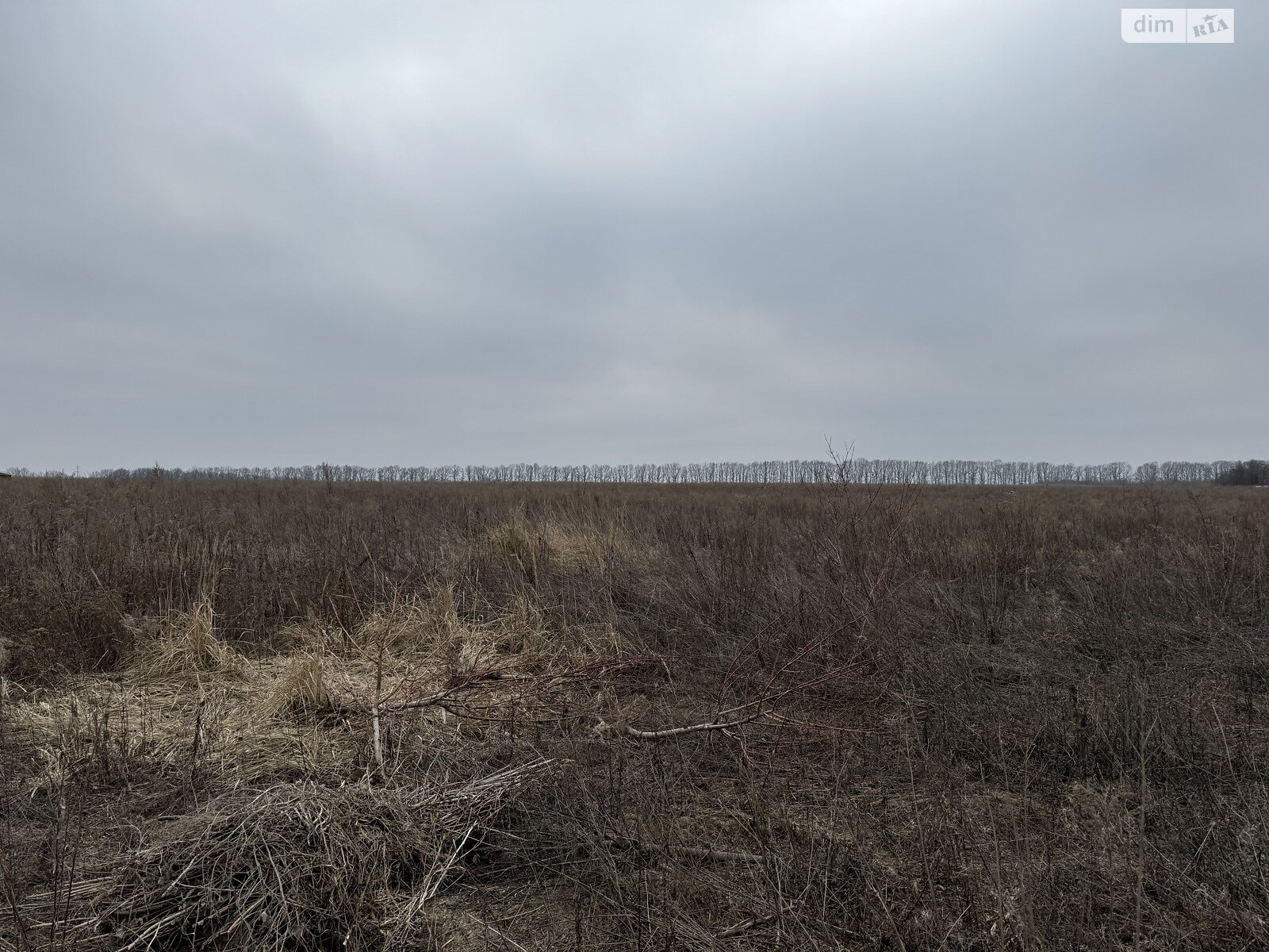 Земельна ділянка сільськогосподарського призначення в Агрономічному, площа 6 соток фото 1 Земельна ділянка сільськогосподарського призначення в Агрономічному, площа 6 соток фото 1