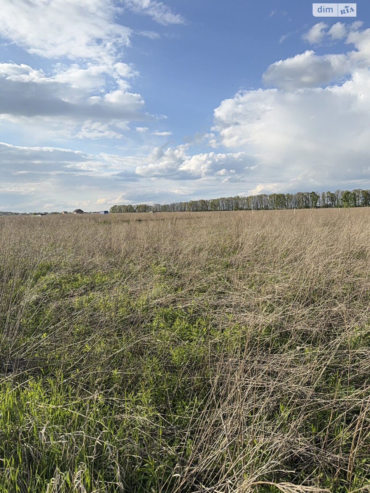 Земельна ділянка сільськогосподарського призначення в Агрономічному, площа 6 соток фото 1 Земельна ділянка сільськогосподарського призначення в Агрономічному, площа 6 соток фото 1
