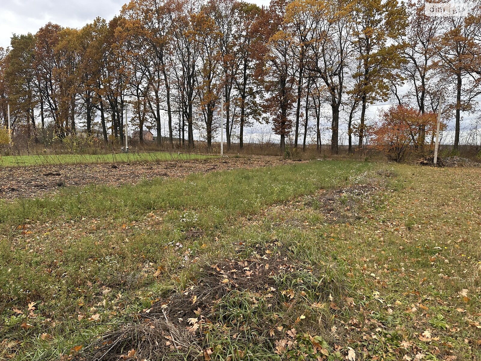 Земельна ділянка сільськогосподарського призначення в Агрономічному, площа 8 соток фото 1 Земельна ділянка сільськогосподарського призначення в Агрономічному, площа 8 соток фото 1