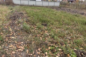 Земельна ділянка сільськогосподарського призначення в Агрономічному, площа 8 соток фото 2