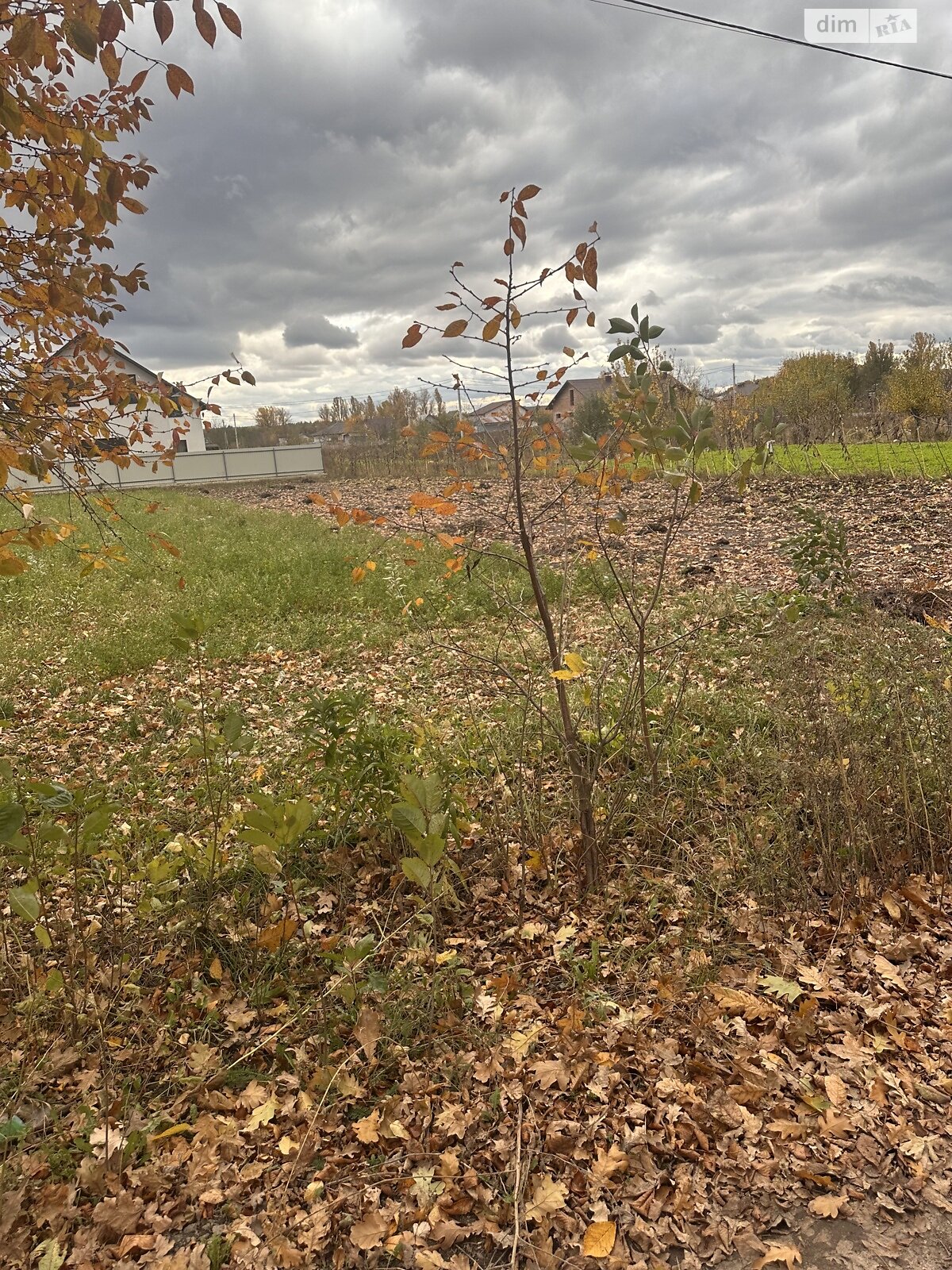 Земельна ділянка сільськогосподарського призначення в Агрономічному, площа 8 соток фото 1 Земельна ділянка сільськогосподарського призначення в Агрономічному, площа 8 соток фото 1
