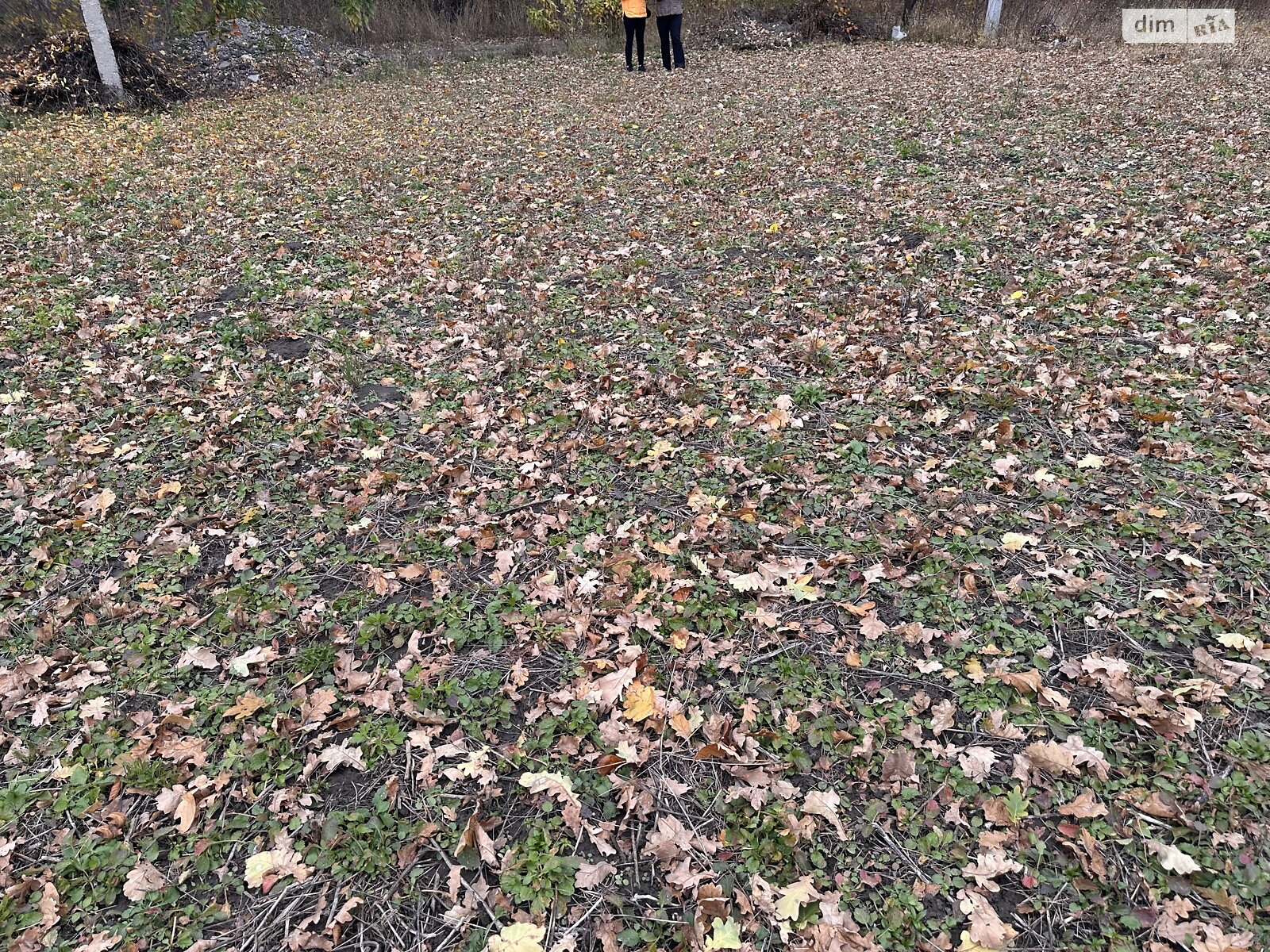 Земельна ділянка сільськогосподарського призначення в Агрономічному, площа 8 соток фото 1 Земельна ділянка сільськогосподарського призначення в Агрономічному, площа 8 соток фото 1