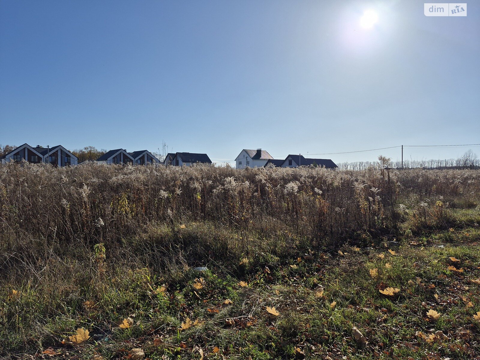 Земельный участок сельскохозяйственного назначения в Агрономичном, площадь 10 соток фото 1