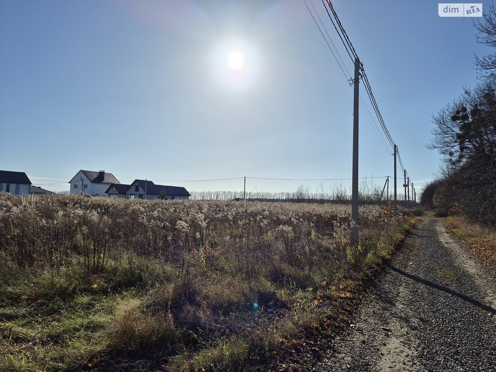 Земельный участок сельскохозяйственного назначения в Агрономичном, площадь 10 соток фото 1
