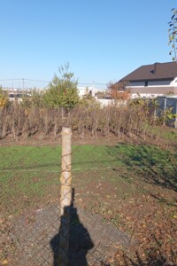 Земельный участок сельскохозяйственного назначения в Агрономичном, площадь 7 соток фото 2 Земельный участок сельскохозяйственного назначения в Агрономичном, площадь 7 соток фото 2