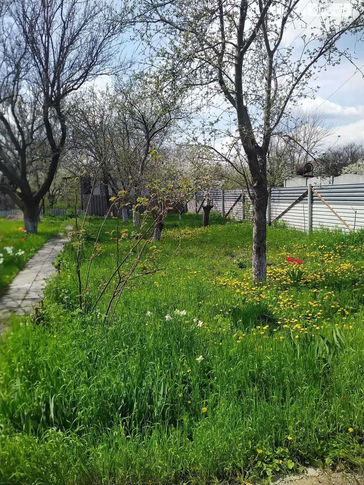 Земля сільськогосподарського призначення в Олександрівці, площа 11 соток фото 1